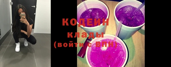 индика Абинск