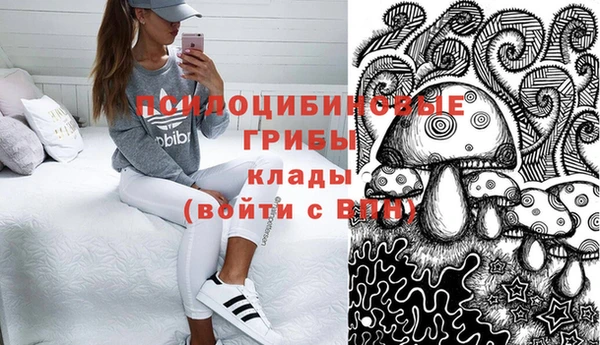 соль ск Гатчина