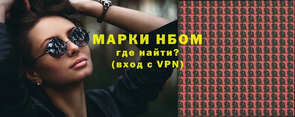 хмурый Абаза