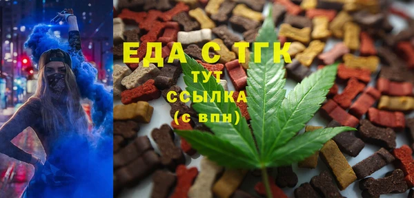 индика Абинск