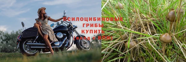индика Абинск