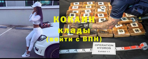 хмурый Абаза