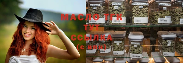 индика Абинск