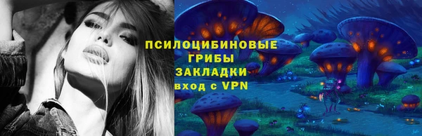 индика Абинск