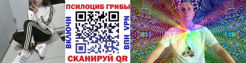 кракен онион  мориарти телеграм  Псилоцибиновые грибы Psilocybine cubensis  Полярный 